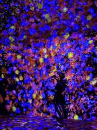 澳門teamlab 超自然空間20250516