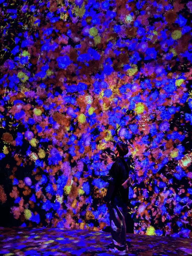澳門teamlab 超自然空間20250516