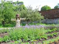 Sunshine, Secrets, and Blooms at Calke Abbey – A National Trust Gem