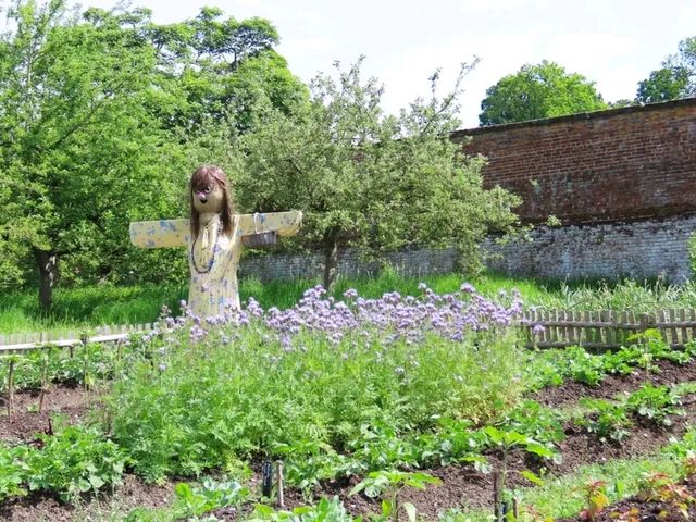Sunshine, Secrets, and Blooms at Calke Abbey – A National Trust Gem