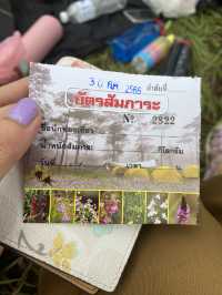 ภูสอยดาว หนาวเกินต้านนน