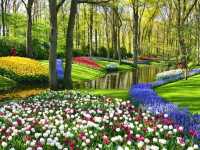 Bollenstreek: Where the Netherlands Blooms in Technicolor