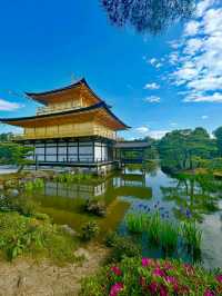 Discovering Kyoto: The Timeless Cultural Heart of Japan