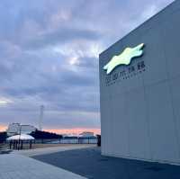 日本四國水族館🤍 | 夢幻海洋世界+獨家珍珠手作體驗！🌊🐬