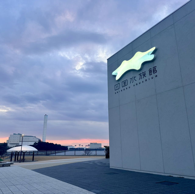 日本四國水族館🤍 | 夢幻海洋世界+獨家珍珠手作體驗！🌊🐬