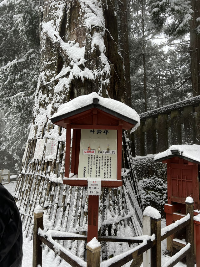 [JAPAN]🌲“Nikko” เมืองมรดกโลกกลางขุนเขา 🏔️