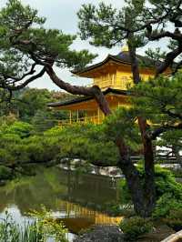 Kinkaku-ji: The Golden Pavilion of Kyoto