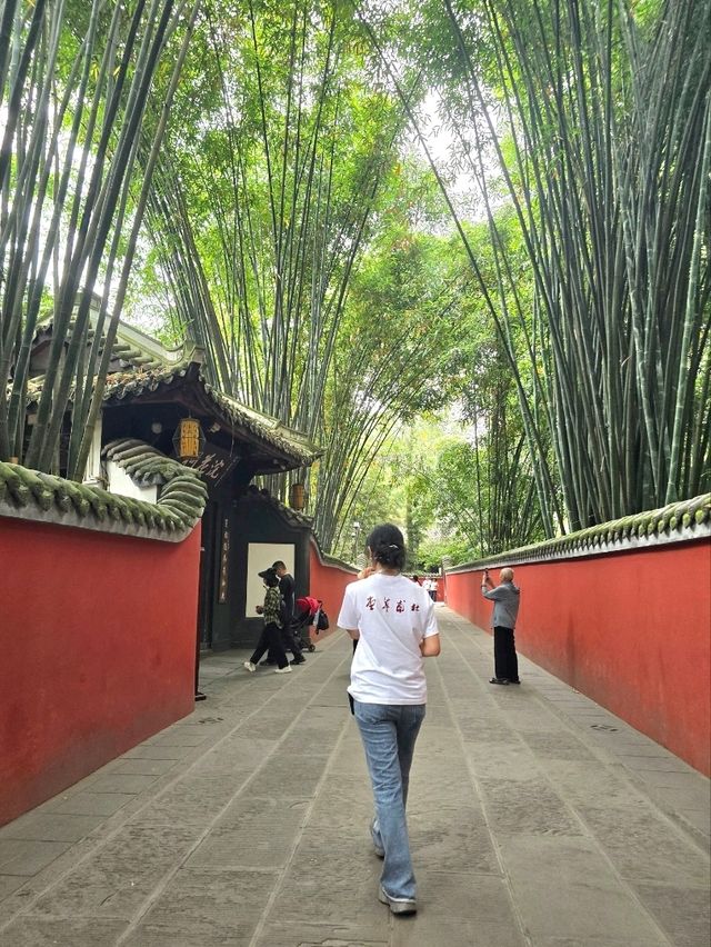 認識一代詩聖感受園林詩意