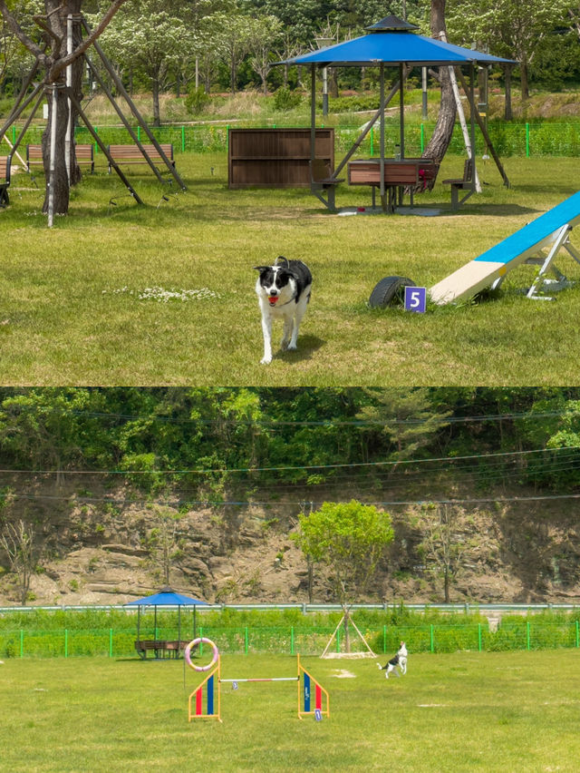 5월 가기좋은 합천 여행코스