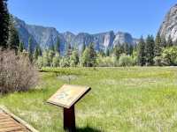 Hiking in Yosemite