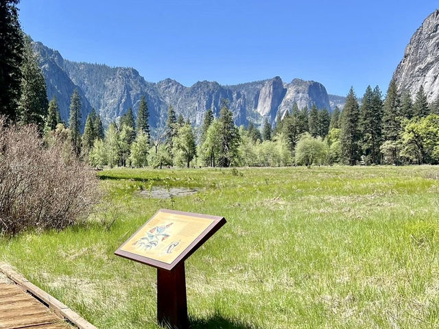 Hiking in Yosemite