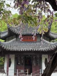 A place so peaceful even the cats seem to meditate — Xiyuan Temple