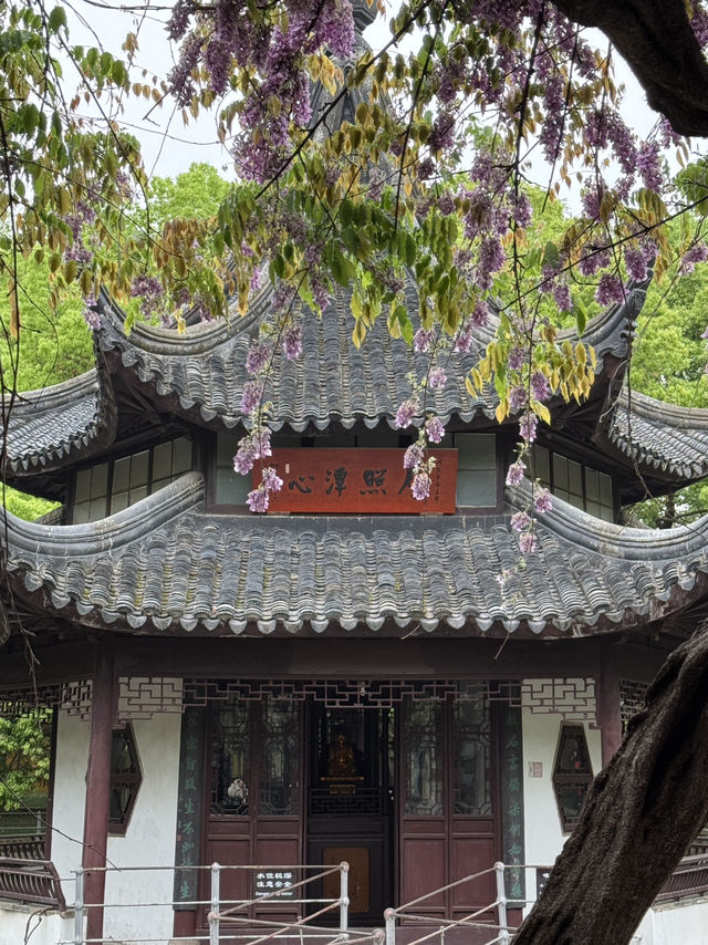 A place so peaceful even the cats seem to meditate — Xiyuan Temple
