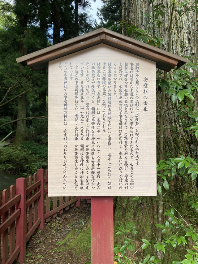 【箱根】三社参りのすすめ
