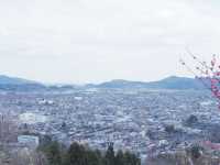 東京至東北攻略：船岡公園賞櫻