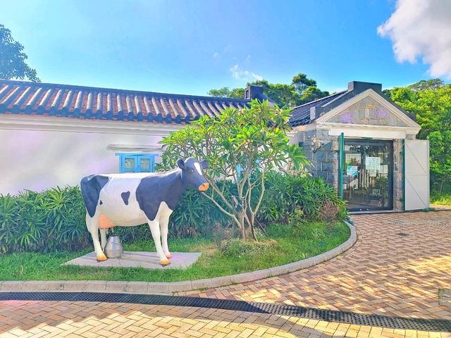 【薄扶林古蹟遊 ⭐】