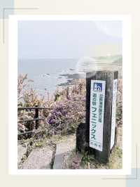 【宮崎】海と緑を満喫！宮崎攻略プラン