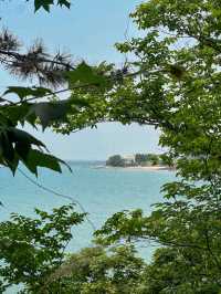 이번 주말 가야 할 동화감성 샤스타데이지 명소🌼