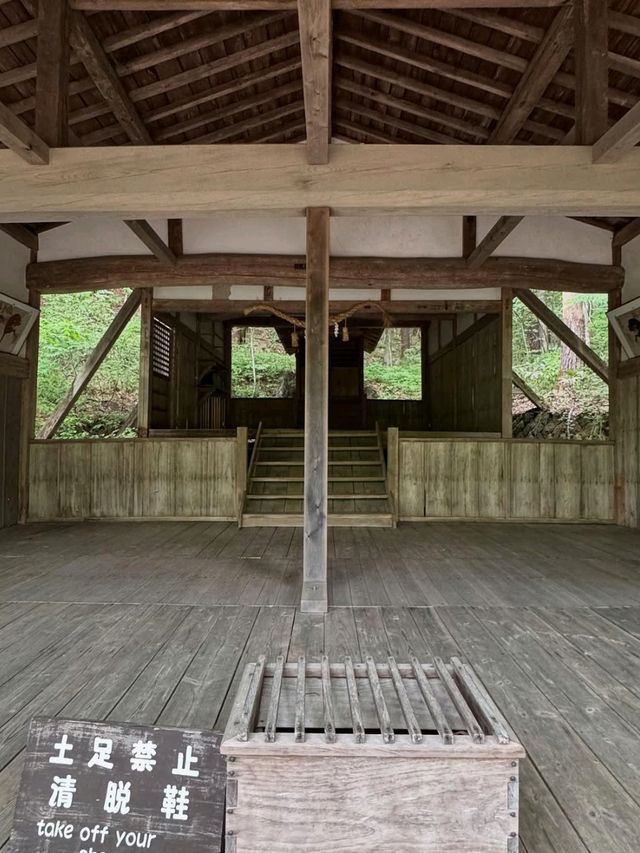 Old Japan, Fresh Vibes