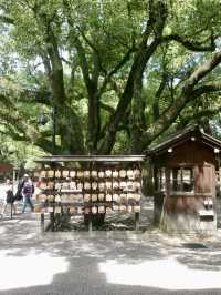 【名古屋攻略】歩いて食べて整って。名古屋の「じわじわ好きになる」1日旅