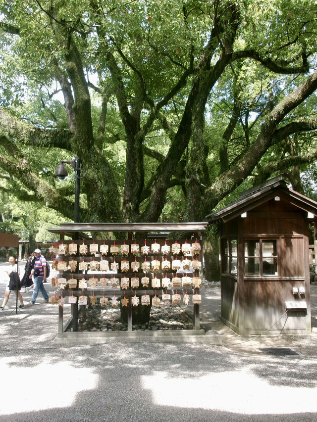 【名古屋攻略】歩いて食べて整って。名古屋の「じわじわ好きになる」1日旅