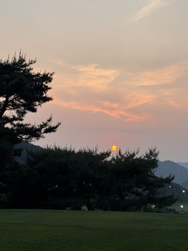 초록빛 그린, 시원한 바람… 안성에서의 완벽한 티타임