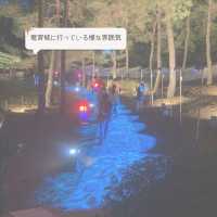 【ソウル郊外】水原で地方旅しよう✨