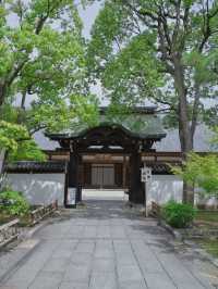 【行く前にこれ見て】名勝庭園を彩る翠の絨毯！心静かに新緑の美を味わう🌿✨※周辺観光情報付