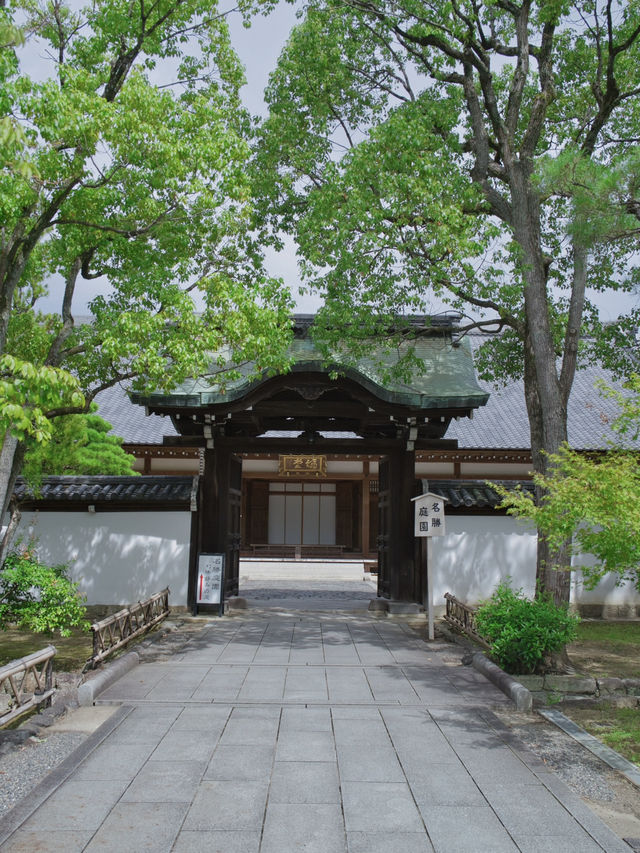 【行く前にこれ見て】名勝庭園を彩る翠の絨毯！心静かに新緑の美を味わう🌿✨※周辺観光情報付