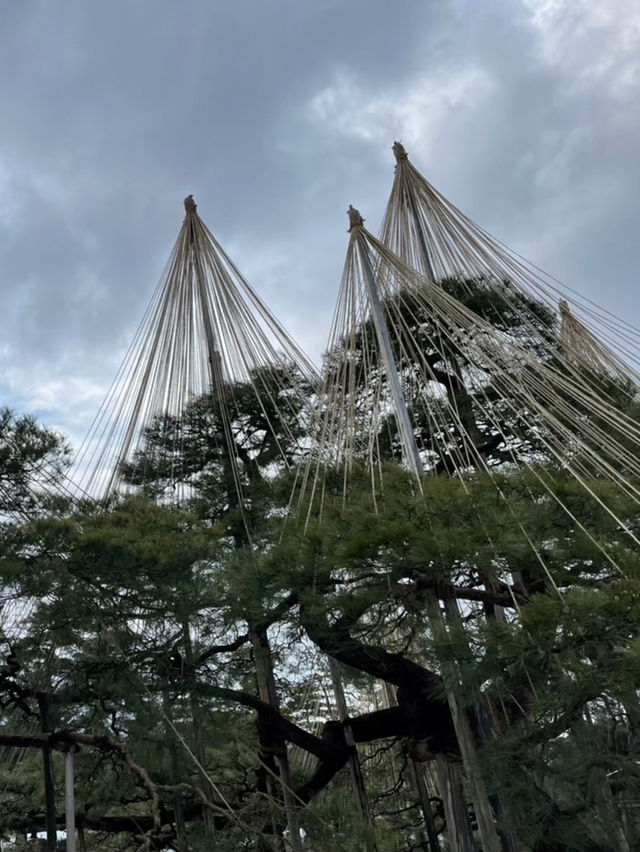 日本らしい厳かで凛とした雰囲気の歴史ある庭園🫶⛩