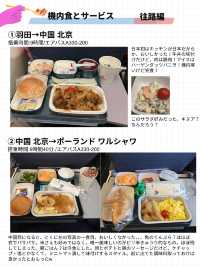 【エアチャイナ　レビュー】北京経由でヨーロッパのポーランドへ！✈️