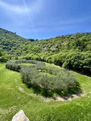 Italy's natural beauty in Assisi