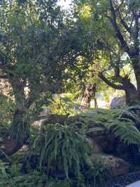 Miracle of Natural สวนทิวลิป ระยอง