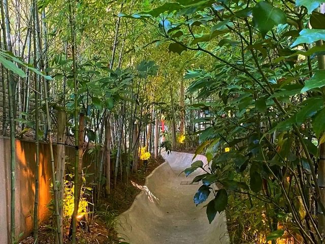 Kinomiya Shrine – A Sacred Escape in Atami