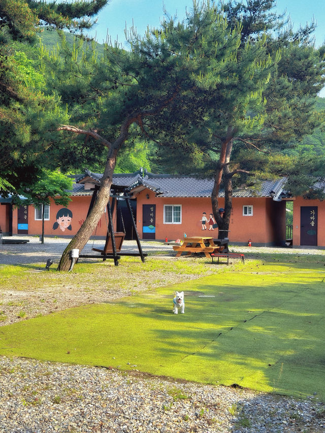 시원한 계곡 옆 초신상 촌캉스 숙소로 여름 휴가⛱️