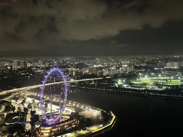 Singapore from Above: Sands SkyPark Observation Deck