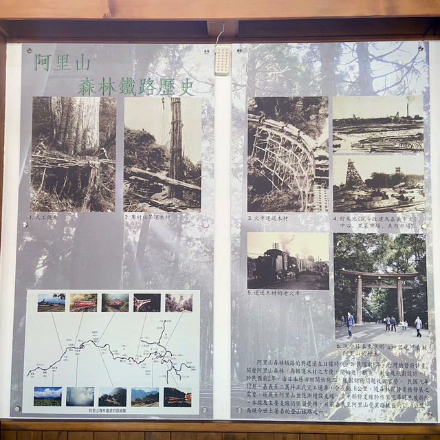 🚉 沼平車站｜通往阿里山仙境的門戶，全台最高木造車站
