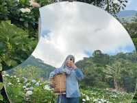 Bucket of Blooms, Boots On & Camera Ready at KUV NIAM HYDRENYA