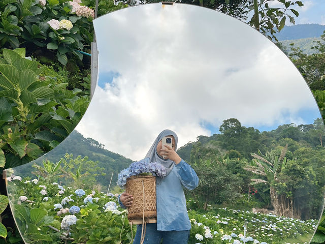 Bucket of Blooms, Boots On & Camera Ready at KUV NIAM HYDRENYA