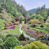 夏天必去的Butchart Garden
