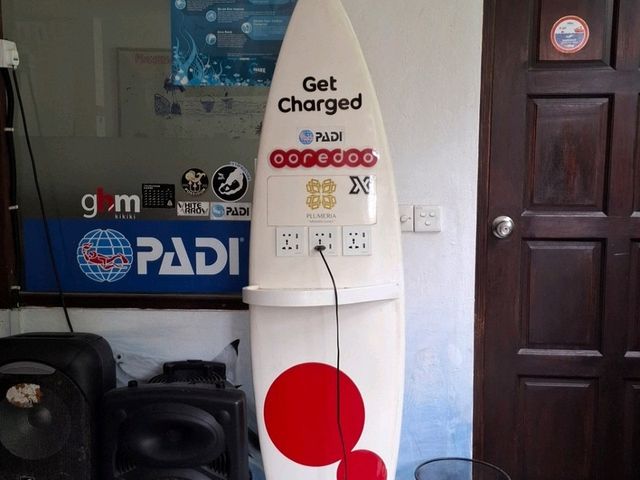 🦈鯊魚蜂擁而至的酒店 Plumeria Maldives 🩵🩵