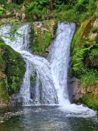 Black Forest National Park – Germany’s Enchanted Wilderness
