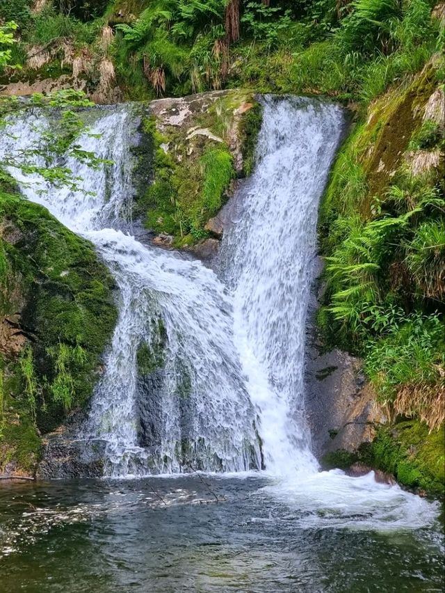 Black Forest National Park – Germany’s Enchanted Wilderness