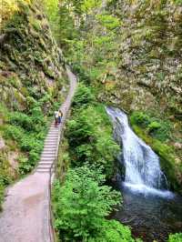 Black Forest National Park – Germany’s Enchanted Wilderness