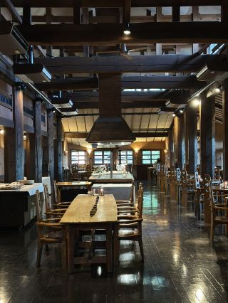 Unique Healing Travel Destination in Oita Prefecture