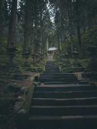 A Hidden Gem Straight Out of a Ghibli Film 🍃⛩️