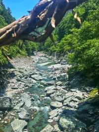 Oboke & Koboke: Japan’s Untamed Natural Wonder