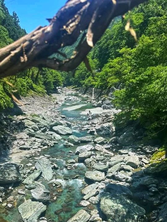 Oboke & Koboke: Japan’s Untamed Natural Wonder