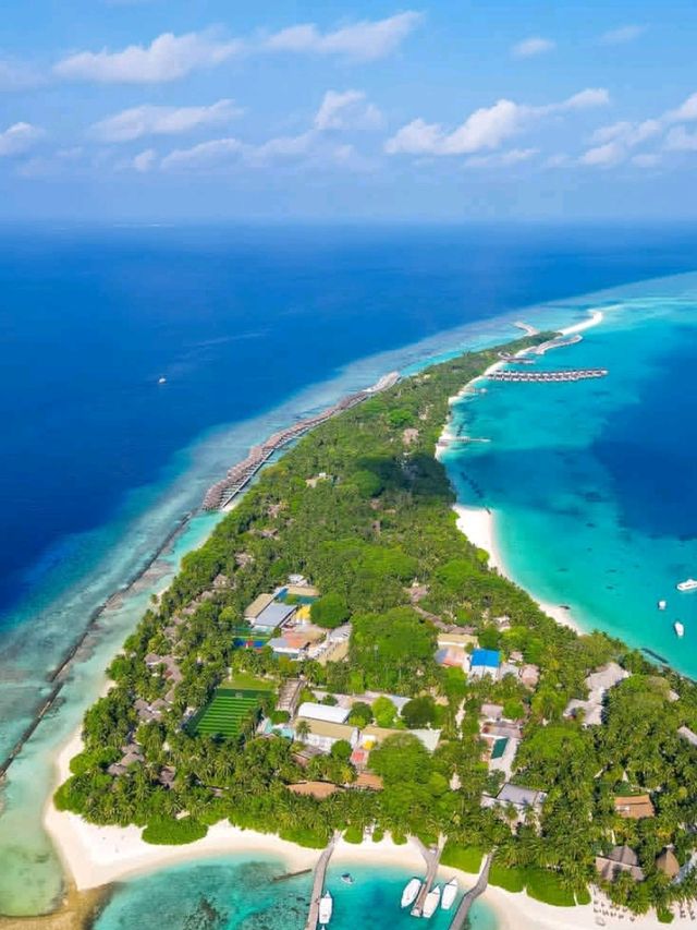 🌊 Waldorf Astoria Maldives Ithaafushi – Oceanfront Luxury Redefined 🌴✨