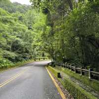 陽明山山豬湖山走走